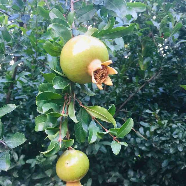 过寿送什么礼物给老人,送老人礼物前十件排名