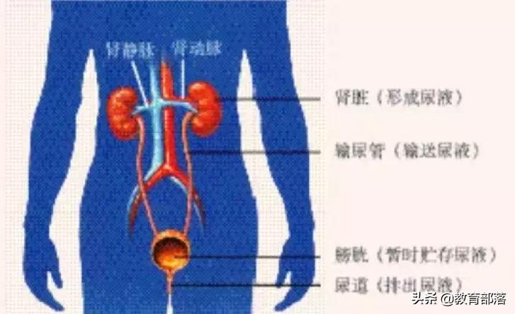 初中生物会考复习计划,初中生物会考复习资料全套