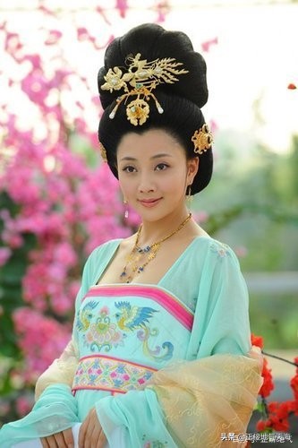 杨贵妃的功绩有多大,唐朝杨贵妃历史评价