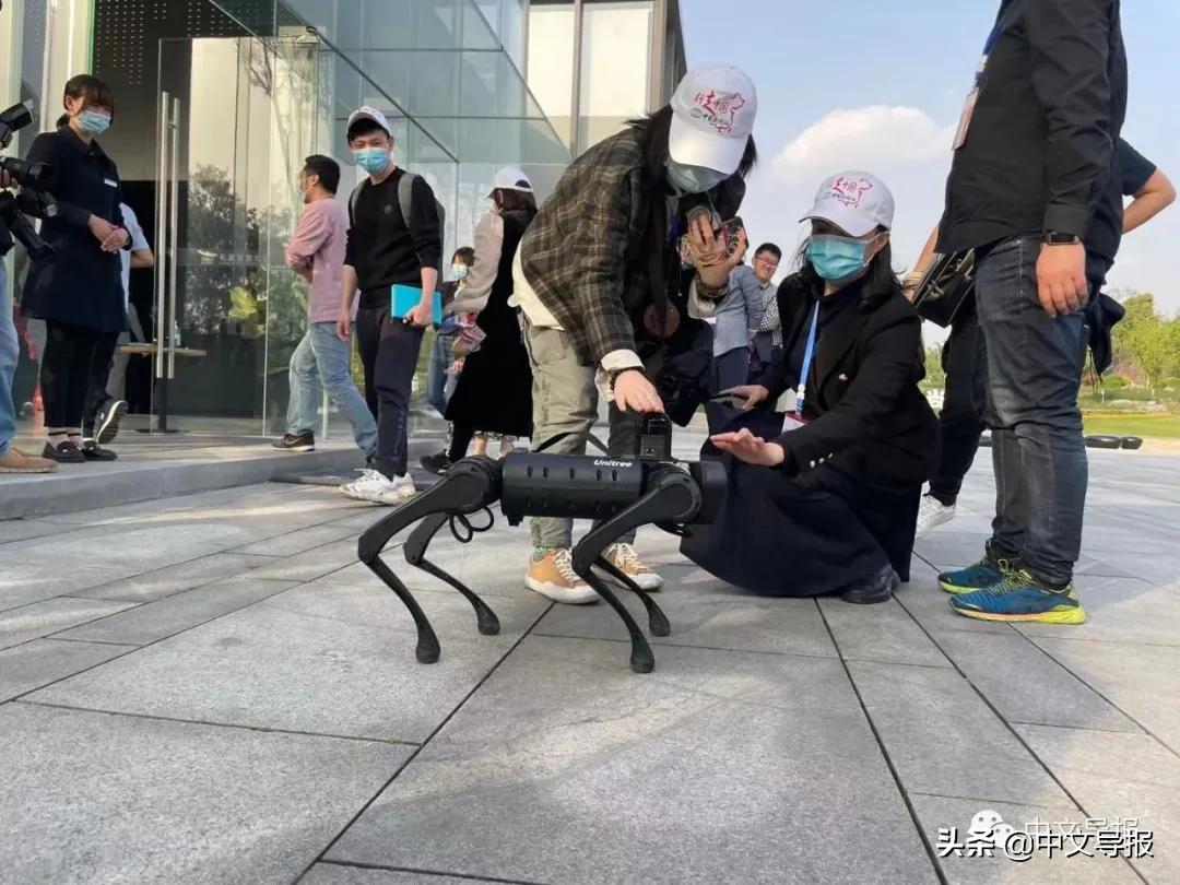 重庆礼嘉智慧体验公园视频,重庆礼嘉智慧公园一抹阳光