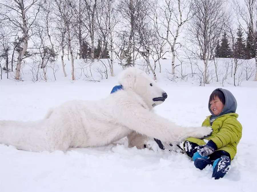 他叫辛巴,不是狮子王,8岁穿越12国:最好的教育,永远在路上