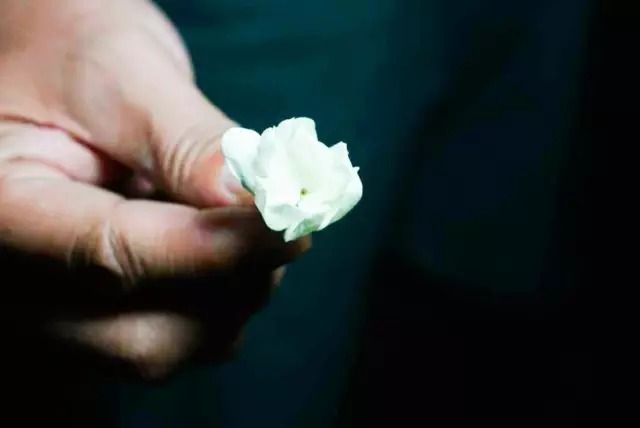 中茶的茉莉花茶叶怎么样,好茶的标准茉莉花茶