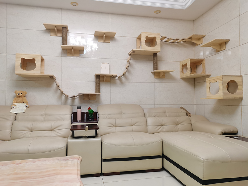 装修分享|养猫指南：铲屎官必看家装攻略