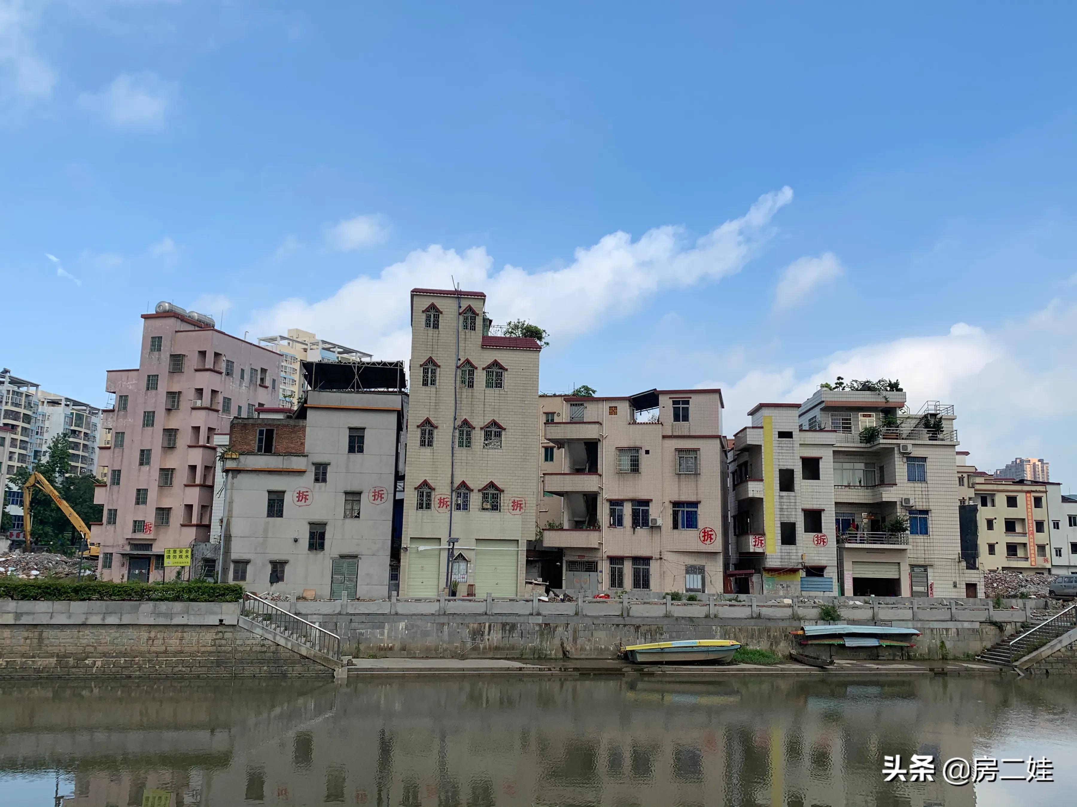 二娃短评,二娃最新点评视频