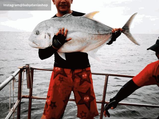 丽贝岛什么时候去最好,为什么要去人鱼岛