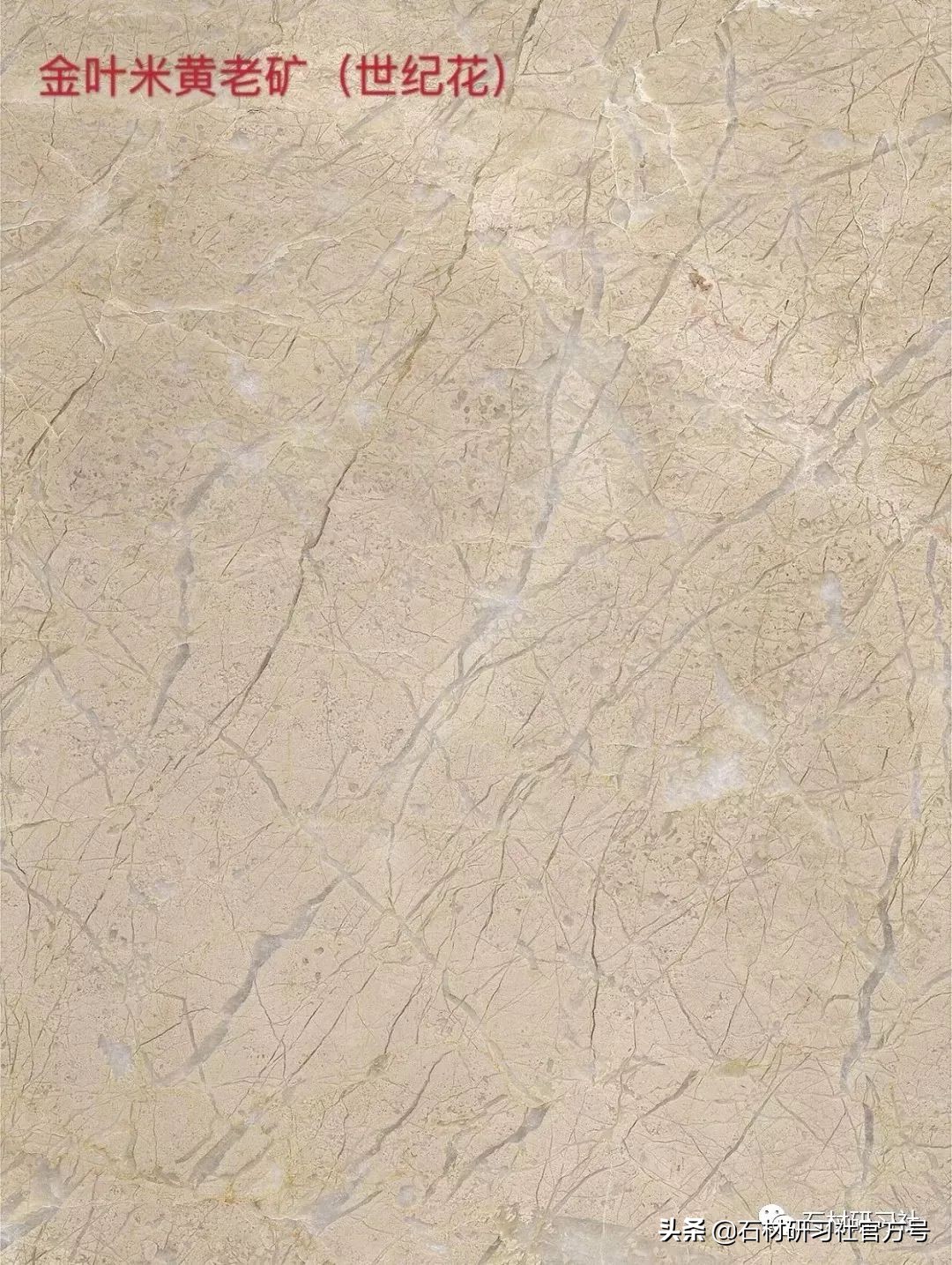 豪宅用的高级天然大理石,别墅铺什么颜色大理石档次最高