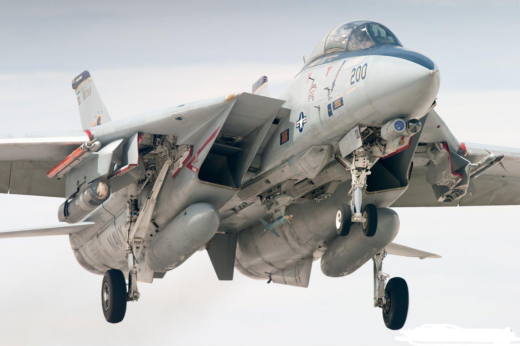 f-14熊猫战斗机全套图纸,f-14熊猫战斗机简笔画