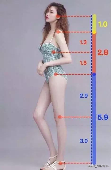 长腿秘诀大全图解,原来大长腿是这样炼成的