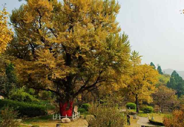 中国10大温泉,中国10大温泉排名