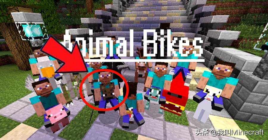 我的世界里关于蝙蝠的冷知识 (我的世界蝙蝠冷知识)