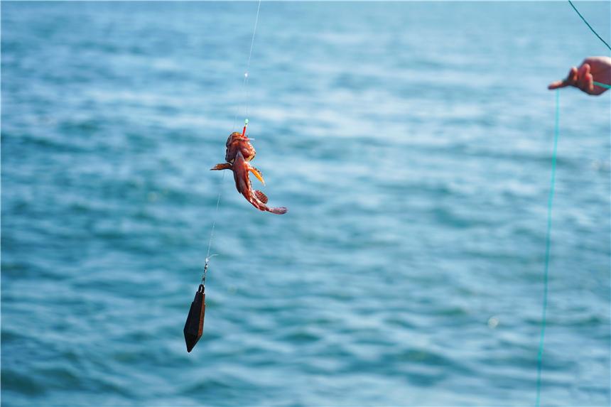 嵊泗美食推荐攻略,嵊泗列岛旅游攻略美食