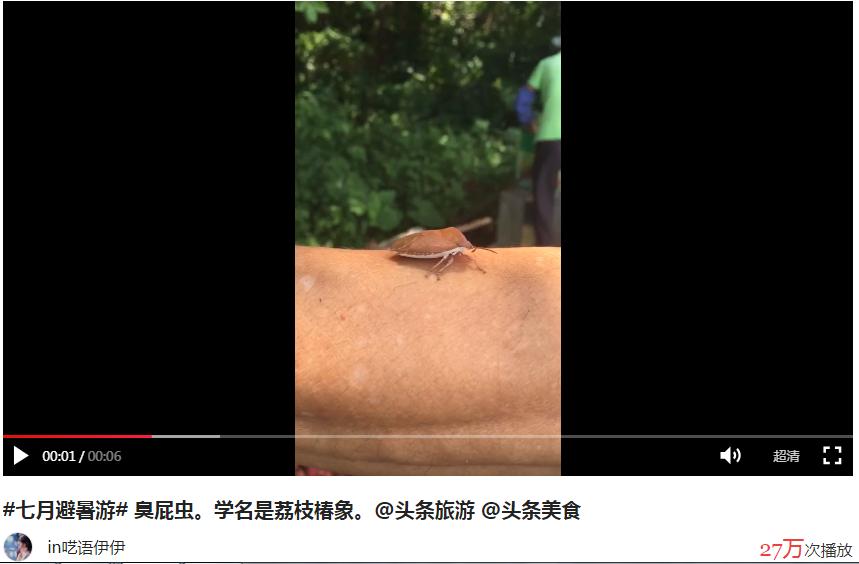 玩转抖音头条教程,玩转小视频的技巧