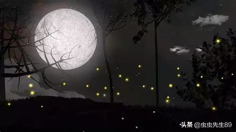 昆虫为什么会被灯吸引,吸引昆虫的灯光