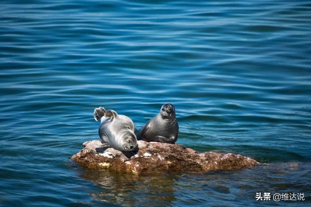 贝加尔湖最大水深1637米,贝加尔湖畔深海