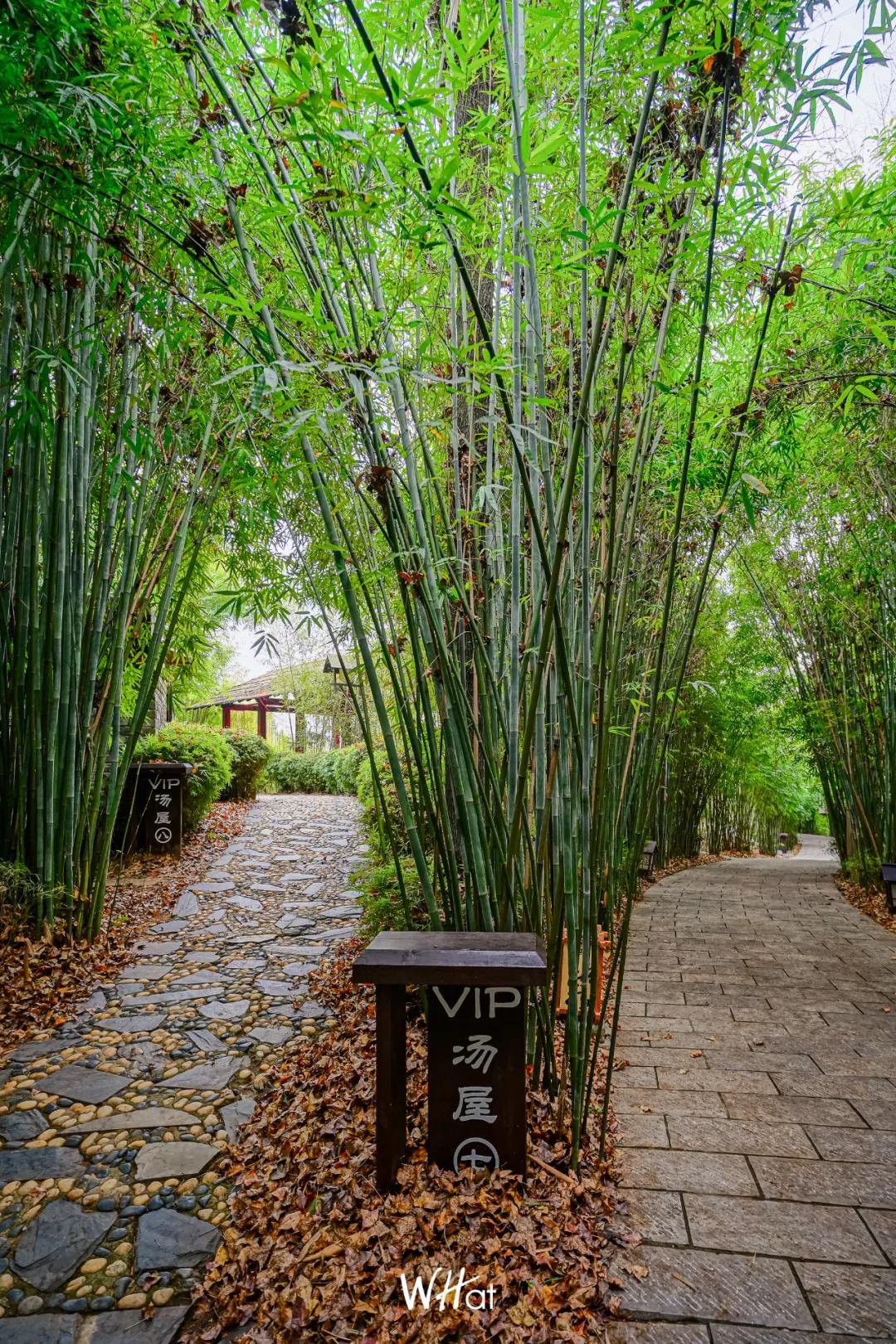 武汉周边泡温泉两日一夜,武汉泡温泉吃饭睡觉一体的温泉