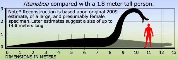 地球曾出现十大最大的蛇,地球有史以来最大的蛇