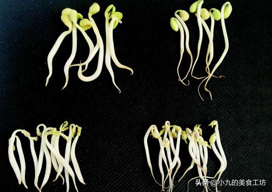 16种常见蔬菜的挑选,14种常见蔬菜挑选技巧