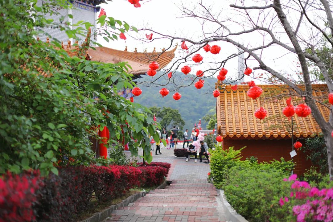 超灵验的姻缘福地!离广州深圳不到一小时,踏青赏花祈福康养首选