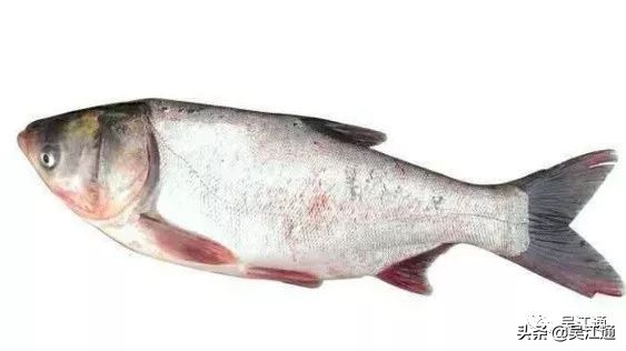 洗脚上岸,洗脚上岸读历史