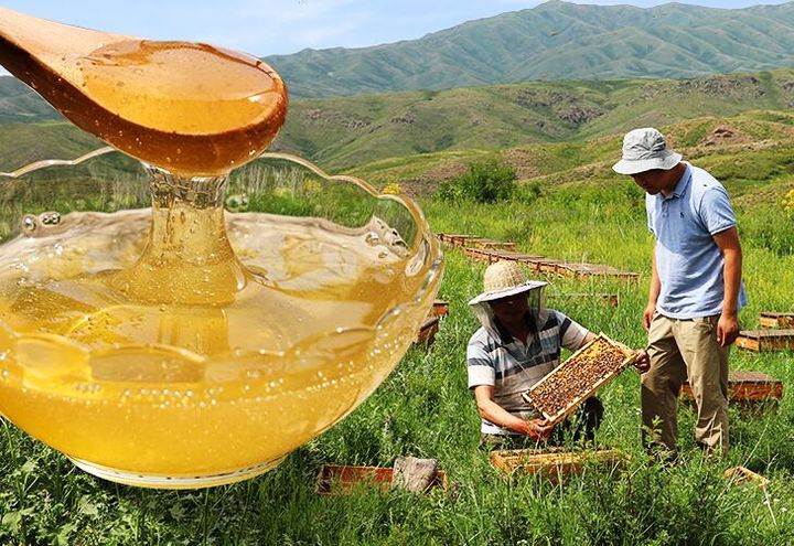 蜂蜜为什么是酸的还能吃吗,蜂蜜酸苦是什么原因造成的