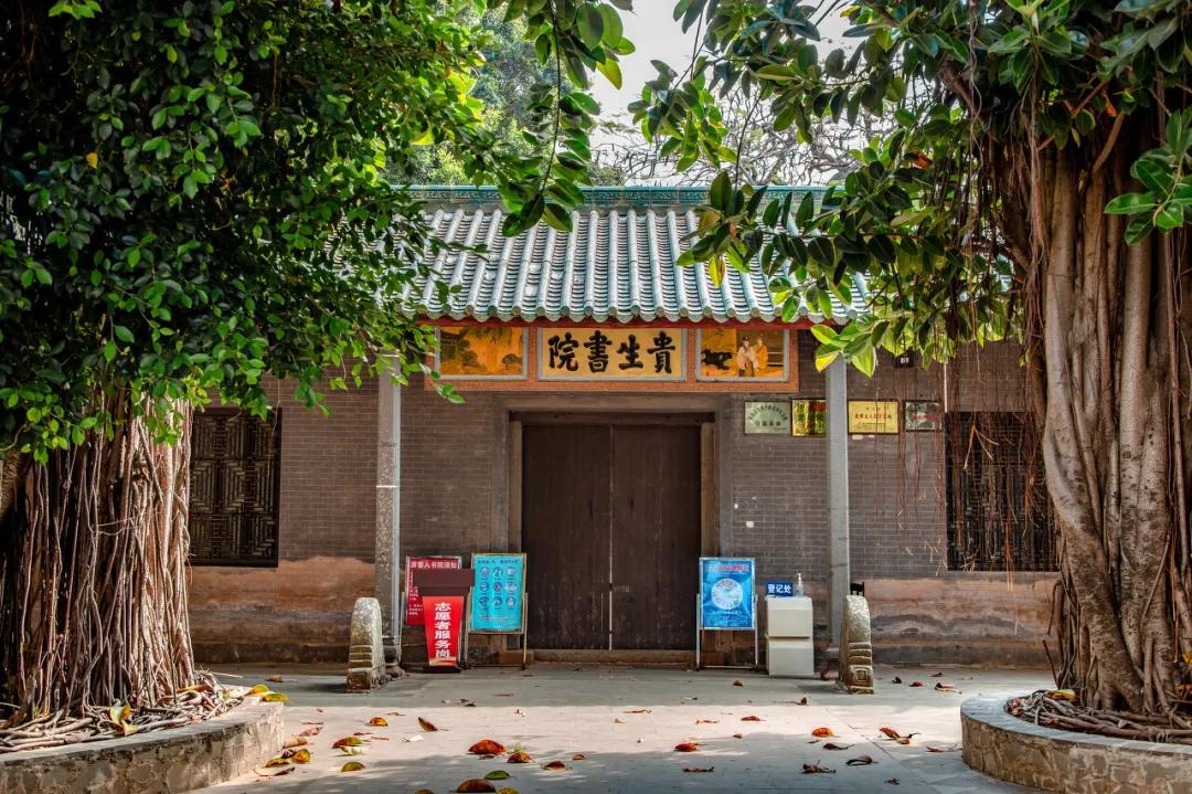 大明出了十六帝,大明出现枪神