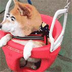 宝藏新公园周末好去处快来打卡,必打卡的宝藏公园