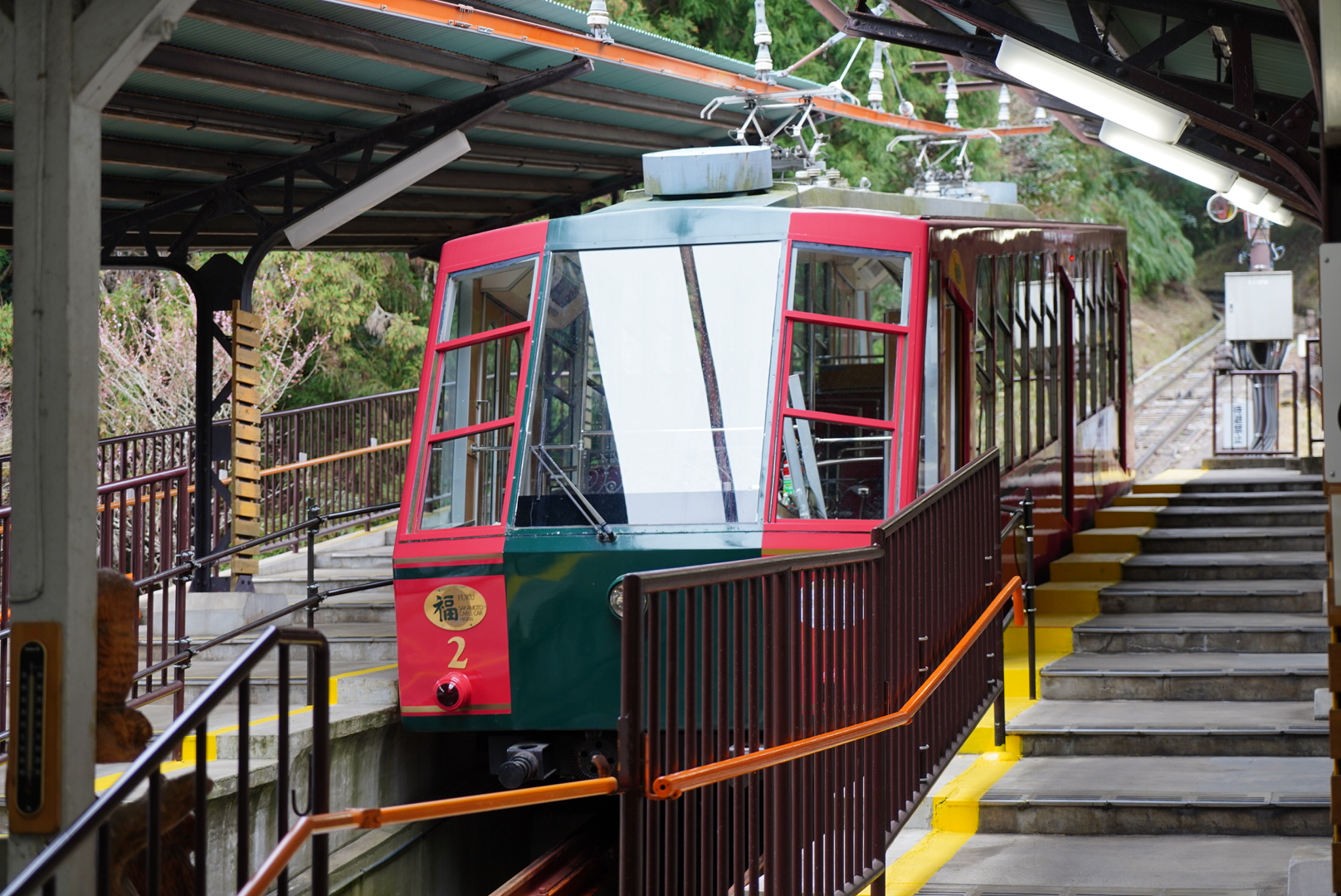 2019日本赏樱最新攻略|大津小众路线私家推荐