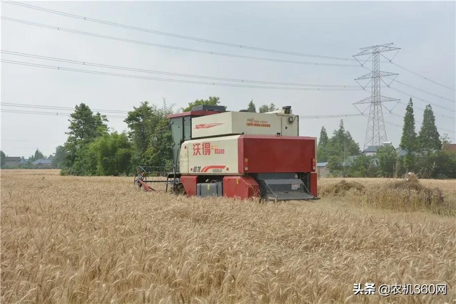麦客首选,一机多用!沃得皓龙轮式纵轴流4LZ-8F型收获机闪耀上市