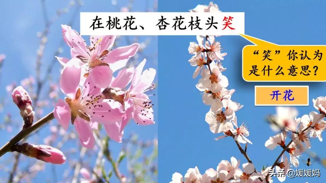 找春天二年级下册仿写第8自然段,找春天二年级下册朗读123自然段