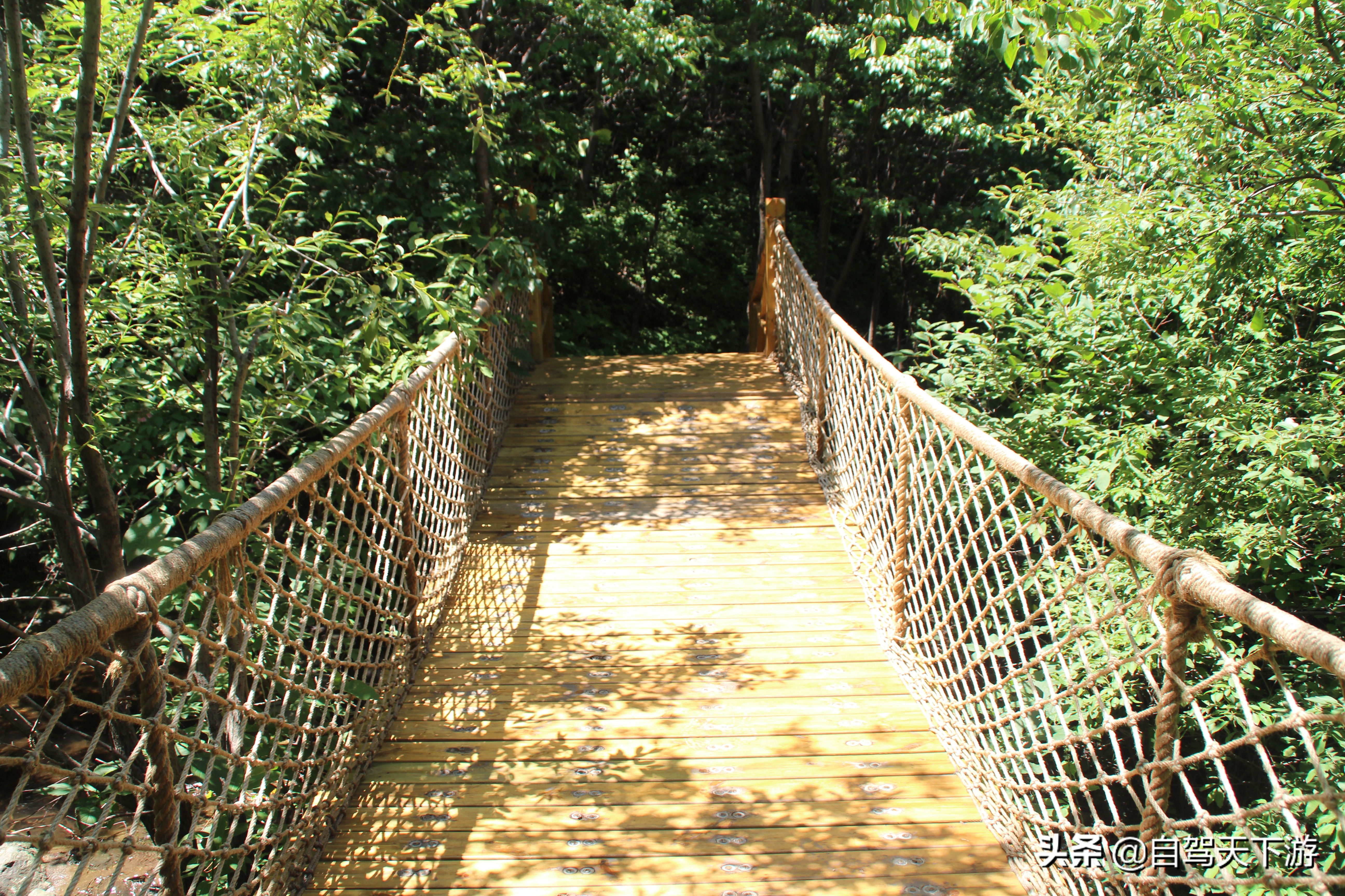 野三坡白草畔攻略,野三坡白草畔自驾游
