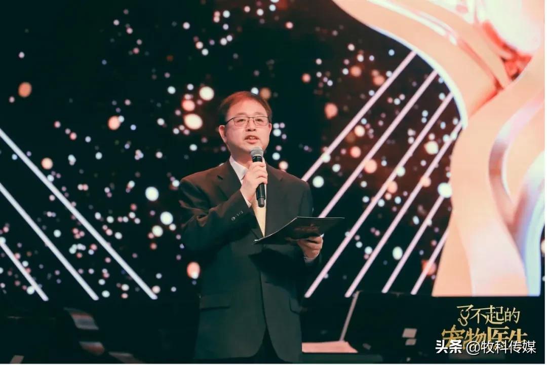 初心如磐笃行致远中国人寿,初心如磐笃行致远军训落幕篇