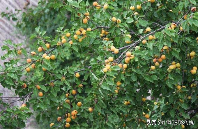 蓟县渔桥水库吃鱼,蓟州于桥水库吃鱼