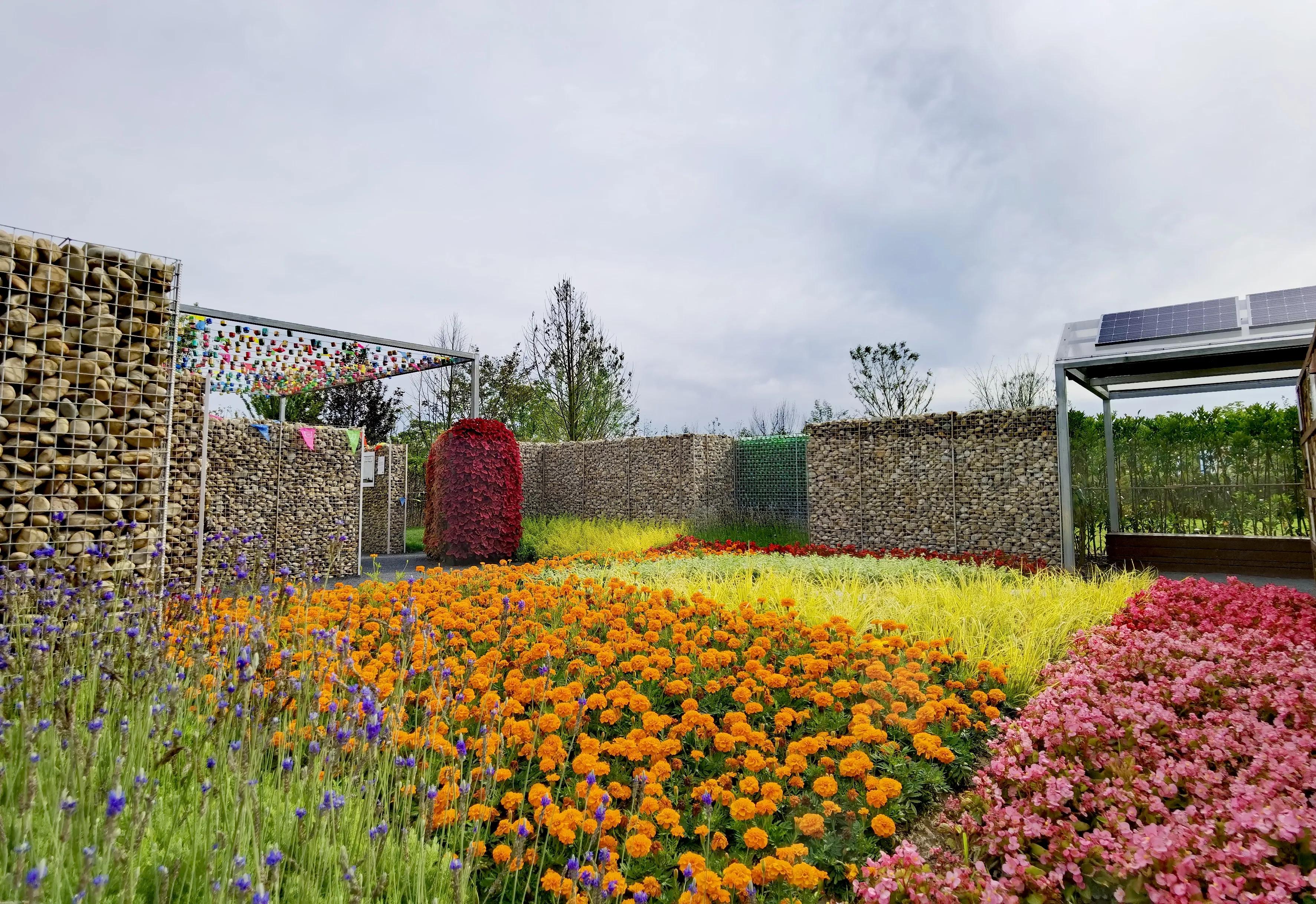关于崇明花博会,崇明花博会全程花景