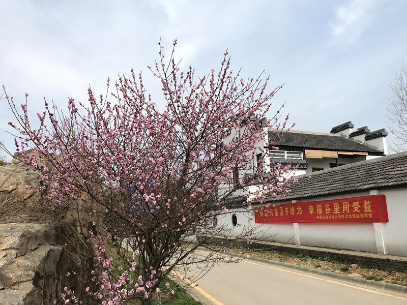 春至牛首，世凹春妆，画中徜徉，处处诗章-游南京江宁世凹桃源