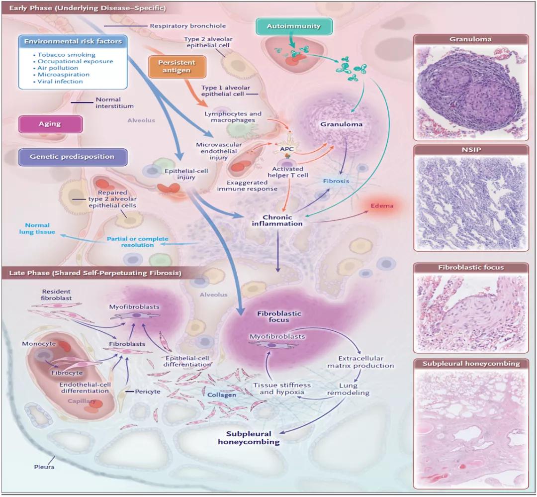 代华平视频,中日友好医院代华平