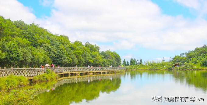 云顶山一日游记,福建云顶山旅游攻略