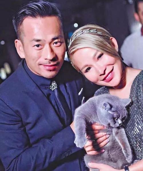 看够了闹剧完整版知乎,小三上位正宫霸气回怼