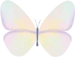 向子平微博,向子平先生