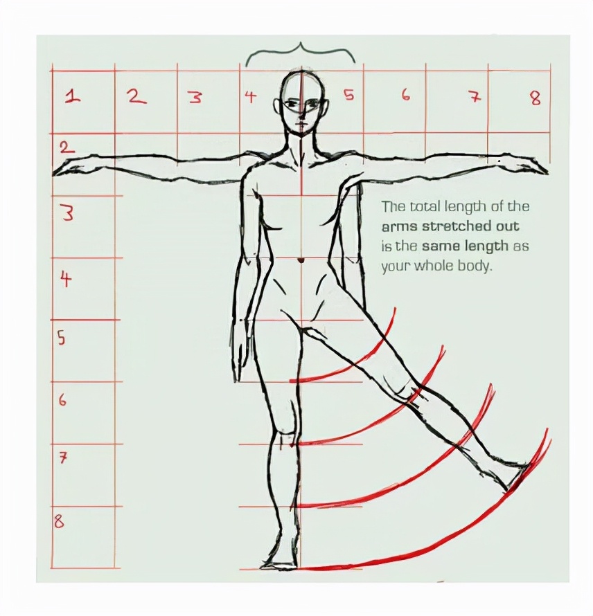 如何画人体结构动漫人物,漫画人体结构如何画
