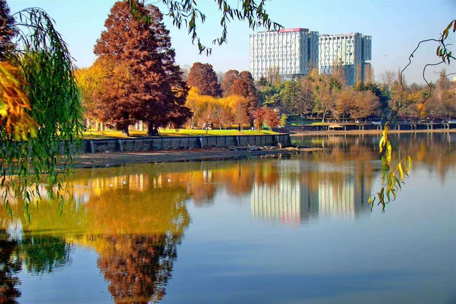 读写障碍，我们该怎样正确理解，如何去改善？