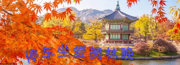 三角公式所有公式大全,三角魔方万能公式