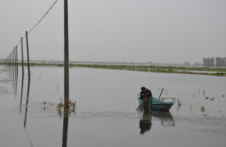 龙虾店每天营业额,岳阳每天龙虾价
