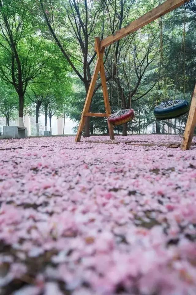 西安十大最差的大学,西安最差的十所大学