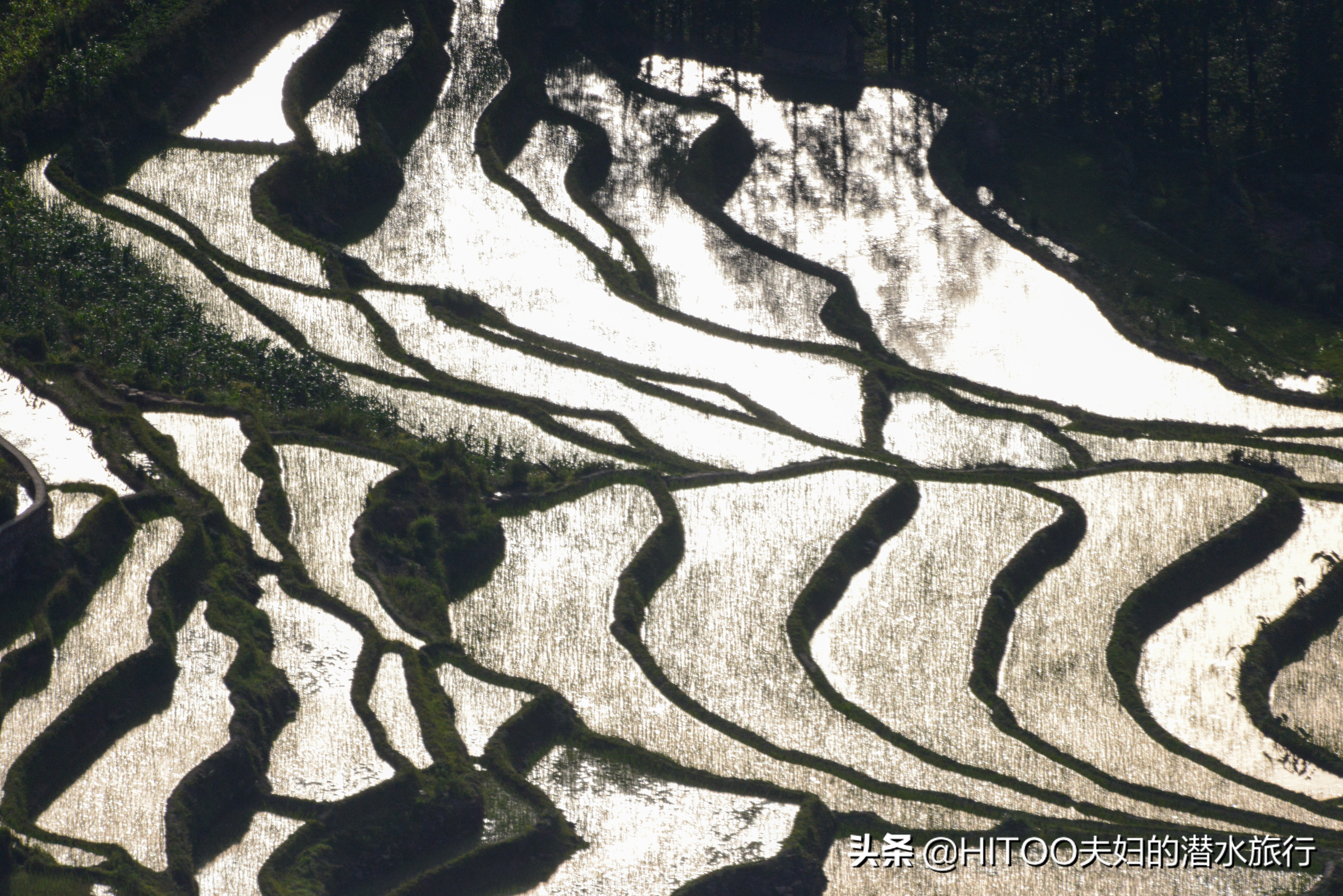 自驾元阳梯田旅游攻略时间,元阳梯田自驾游玩攻略路线