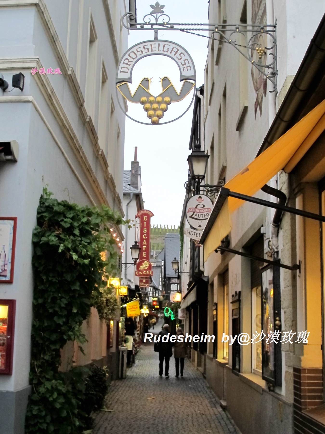 莱茵河葡萄酒小镇,莱茵河畔的葡萄小镇