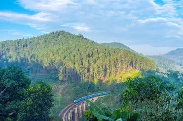 斯里兰卡攻略及费用,斯里兰卡旅游攻略大全