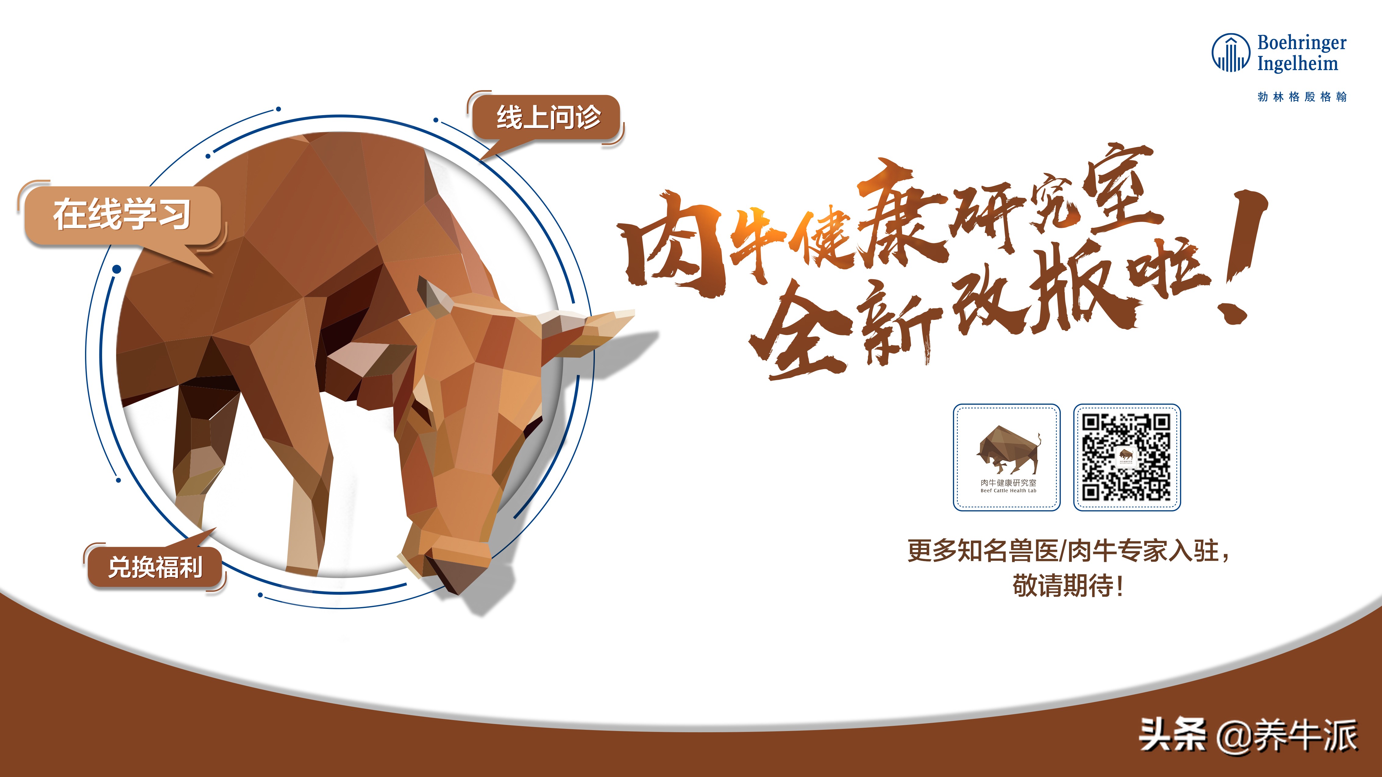 高端肉牛产业发展简报,国家肉牛牦牛产业技术体系办公室