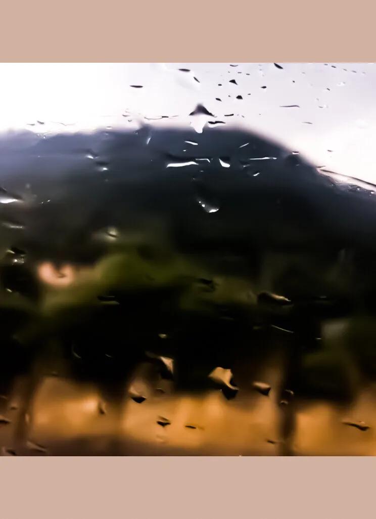 织金皂角米,单荚皂角米