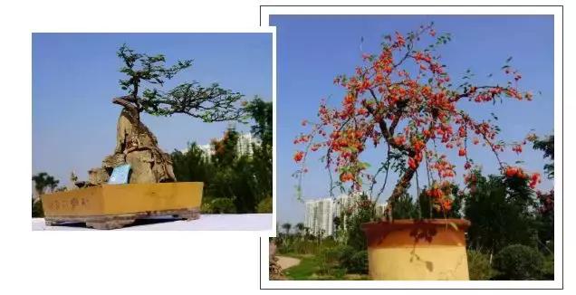 邯郸国庆亲子游人少风景好,邯郸周边二日游的绝佳去处