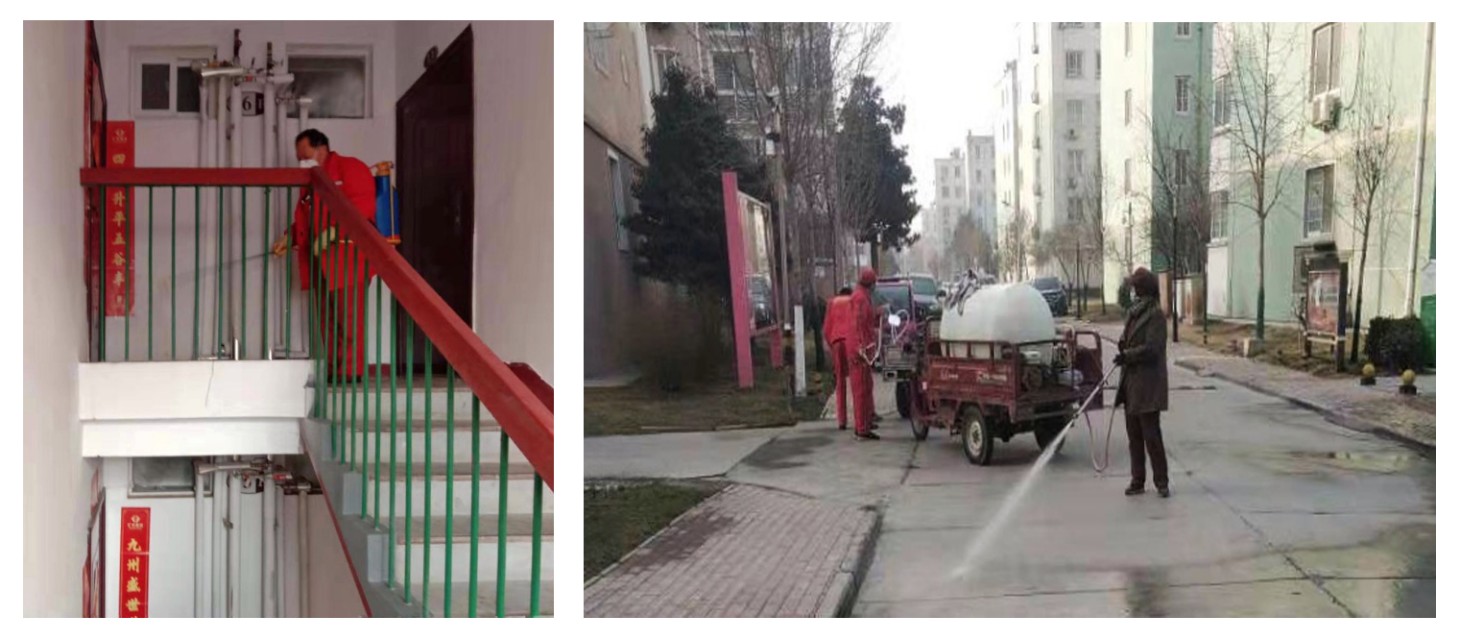 济南高新玉兰花园,玉兰花园很美